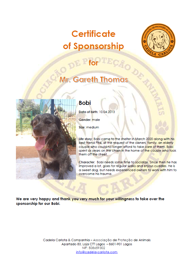 Certificate Bobi EN